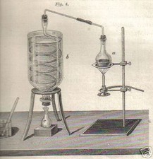 AGRICOLTURA_AGRARIA_ENOLOGIA_C