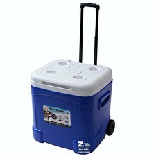 FRIGO TERMICO GHIACCIAIA