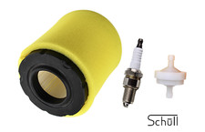 Filtro Aria per Briggs &