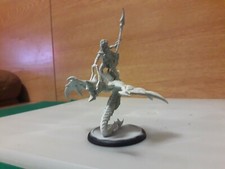 Hordes Everblight Sorceress & Hellion