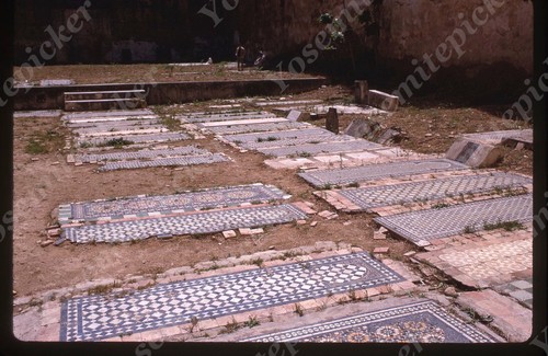 Sl85 diapositiva originale