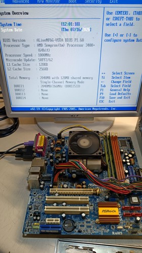 Scheda madre asrock - scheda,