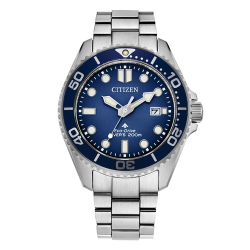 Citizen promaster diver - promaster, diver's