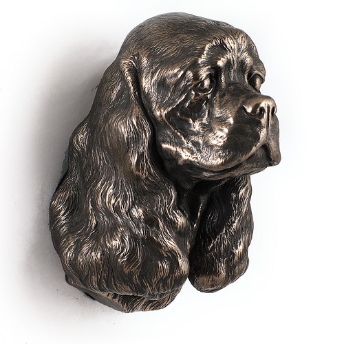 Cocker spaniel americano - cocker,
