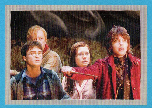 Harry potter principe - potter, e