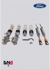 PC2188 Assetto Dna Racing Ford