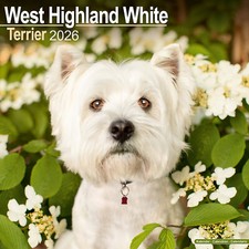 Calendario West Highland White Terrier 2026 | Regalo razza cane 15% di sconto su più ordini