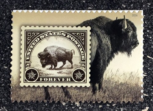 2026usa 6099 forever american - #6099,