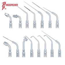Scaler picchio punta endo E1