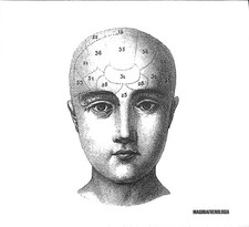 Magora - Frenologia CD Rock