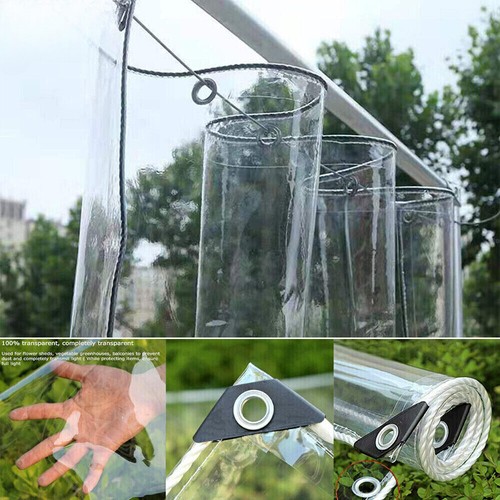 Telo trasparente pvc per - in,