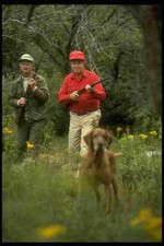 731068 Cape caccia uccelli Breton Highlands Nuova Scozia stampa fotografica A4