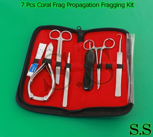 Coral frag propagazione - frag,