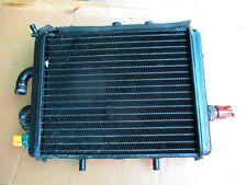 RADIATORE ACQUA RAFFREDDAMENTO MOTORE APRILIA LEONARDO 250  ROTAX