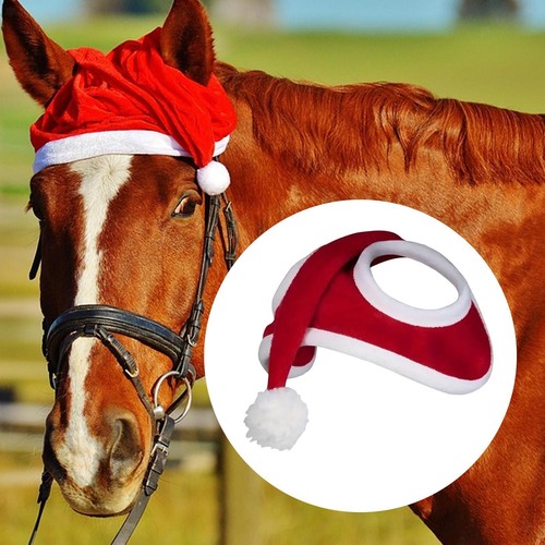 Cappello cavallo natale - cavallo, di
