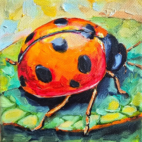 Quadro olio coccinella 10x10