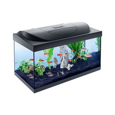 Acquario in Vetro StarterLine 54 Litri Completo di Luce e Filtro e Riscaldatore