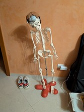 Raccolta "Il Corpo Umano" completa di fascicoli, scheletro e tutti gli organi 