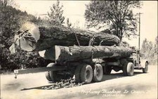 Semirimorchio Douglas Fir Logs