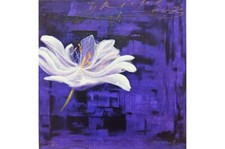 Bellandi Luca - flower 1 - 50x50 serigrafia materica su cartoncino