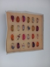 Anelli in Vetro di Murano