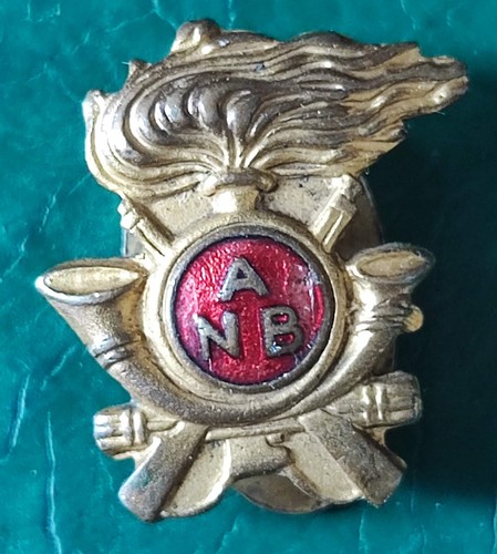 Distintivo occhiello anb - occhiello,