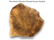 Fetta di legno radice di noce