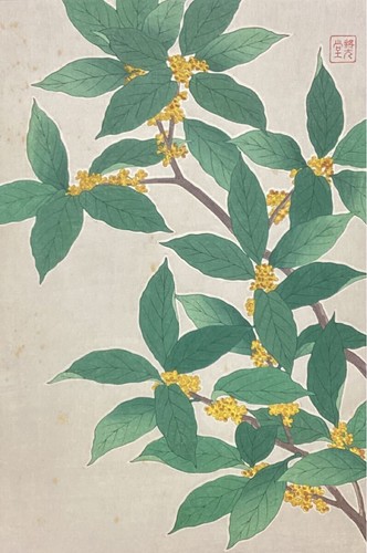 Kawarazaki shodo xilografia - kawarazaki,