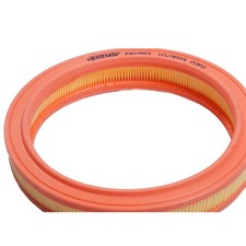 Filtro Aria Fiat Regata