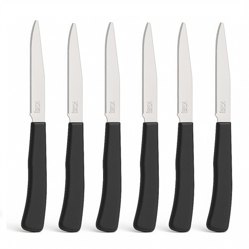 Coltelli bistecca 24pz - coltelli, manico