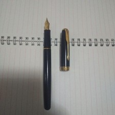 Penna stilografica Parker Sonnet nera oro 18 carati pennino fine elegante strumento da scrittura