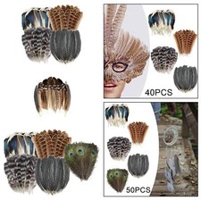 Piume per artigianato Colori