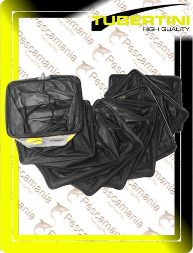 Nassa tubertini squared - tubertini,