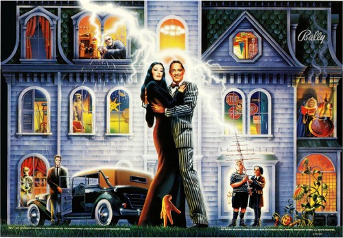 Flipper famiglia bally - bally, addams