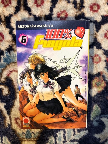 100 fragola mizuki - 6,