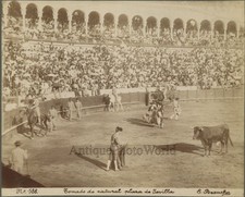 Corrida arena torero morte - arena,