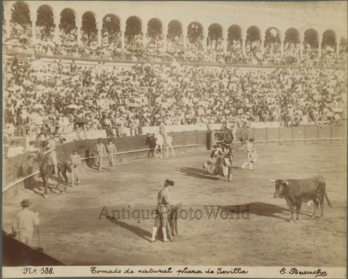 Corrida arena torero - arena, morte