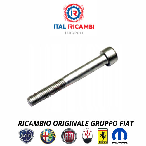 Vite tendicinghia fisso m6x65 - vite,