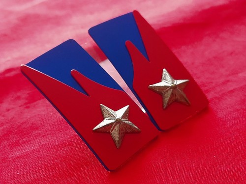 Mostrine carristi esercito - mostrine,