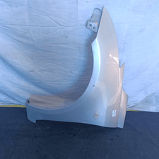 5771168L00000 Parafango ant