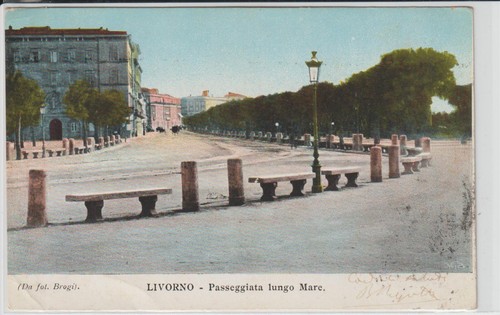 1903 antica cartolina - 1903,