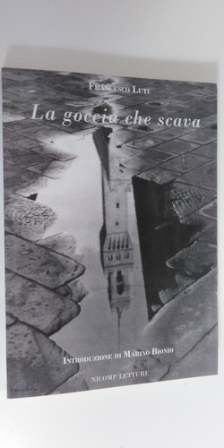 Goccia che scava - la,