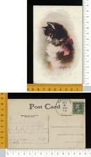 V3049] ANIMALI - GATTO BIANCO