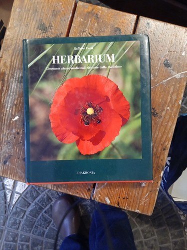 Raffaele curti herbarium - curti,