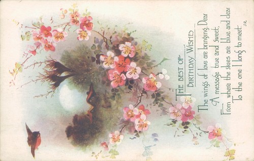 Birthday wishes floral robin