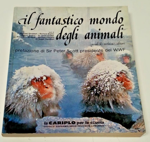 Fantastico mondo degli - il,
