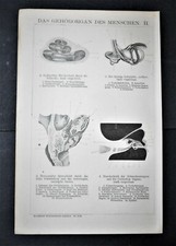  1898 Antica Xilogr:Sistema