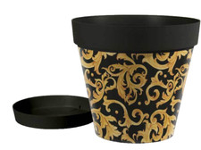 VASO PIANTE GRASSE FIORI SEMI