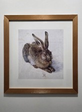 Stampa vintage Albrecht Durer