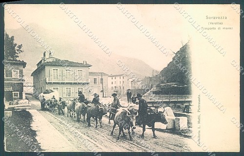 Lucca seravezza trasporto - lucca,